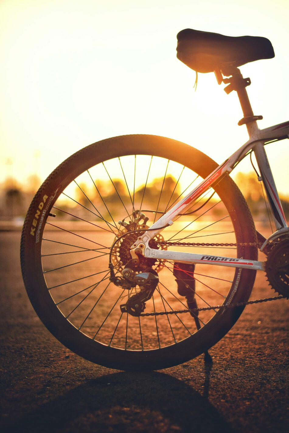 Bike Rental