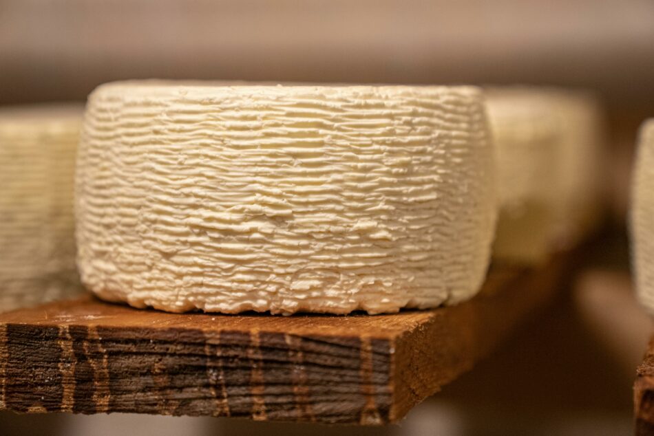 Cheese Maker’s Tour